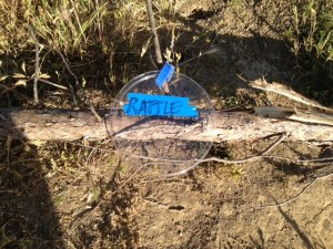 Rattlesnake warning sign - "Indigo Island" entrance