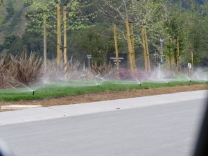 Drought, what drought?