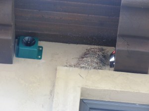 Birdx BirdXPeller (Pool House )