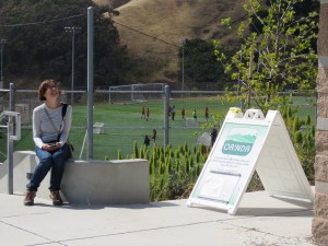 Orinda Sports Field #2 swallow signage!