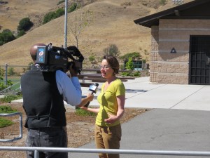 Cliff Swallow advocacy