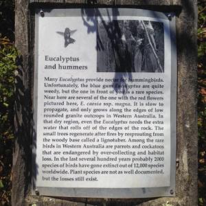 2000 species of birds have gone extinct